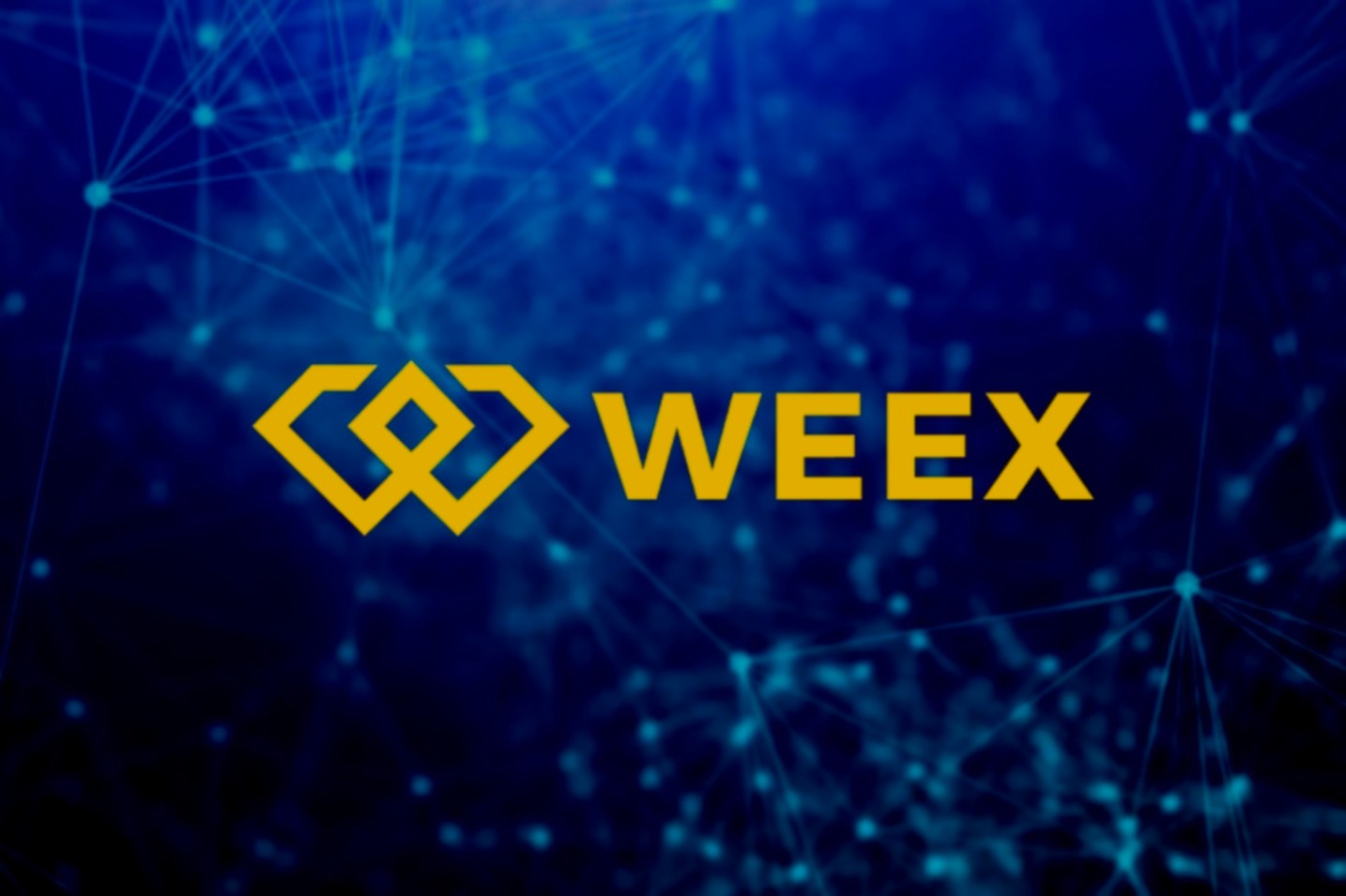WEEX 2024 yıllık raporu: 5 milyondan fazla kullanıcı, günlük işlem hacmi 5 milyar doları aştı, ekip 500'den fazla kişiye ulaştı