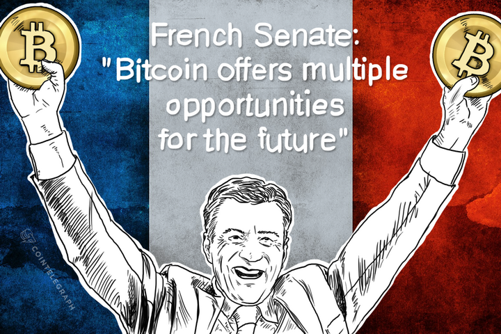 French Senate: "Bitcoin offers multiple opportunities for the future"