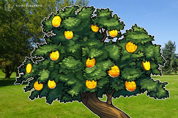 Flamengo ajuda a preservar mais de 12 mil árvores comprando criptomoeda brasileira