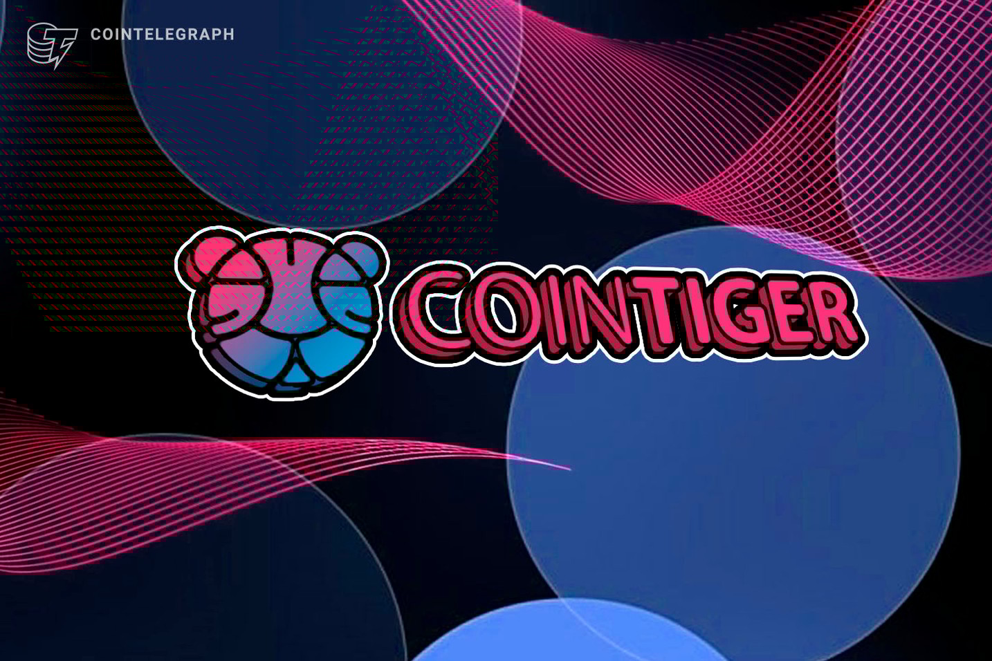 Hold or Save? 20% Extra Coins is Offered to Cryto Believers by CoinTiger!