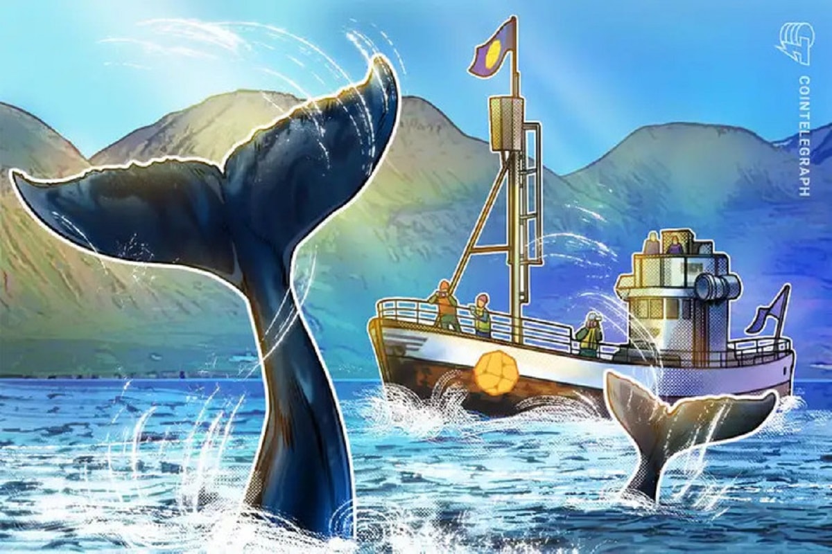 Baleia do MATIC e do SHIB se antecipa ao anúncio da inflação dos EUA e abocanha 7 altcoins