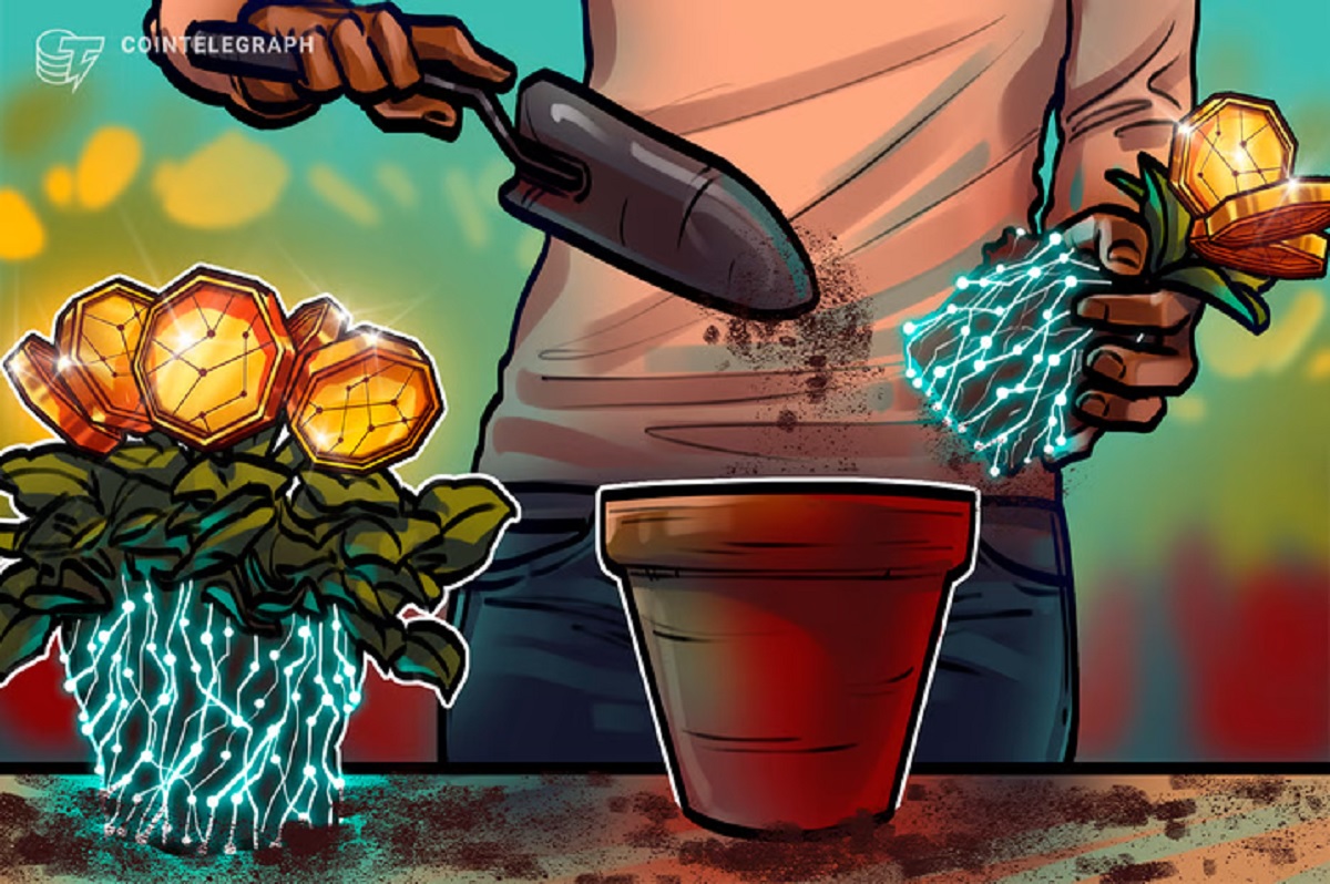 Binance anuncia deslistagem de 4 pares de criptomoedas e staking de NFTs das coleções BAYC e MAYC 