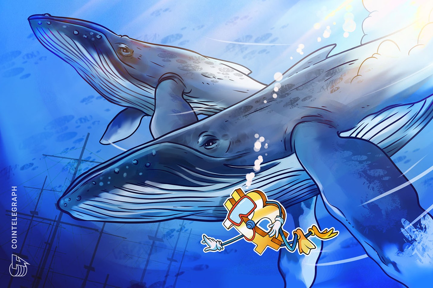 Bitcoin whales tread water and hodl despite recent BTC price drop 