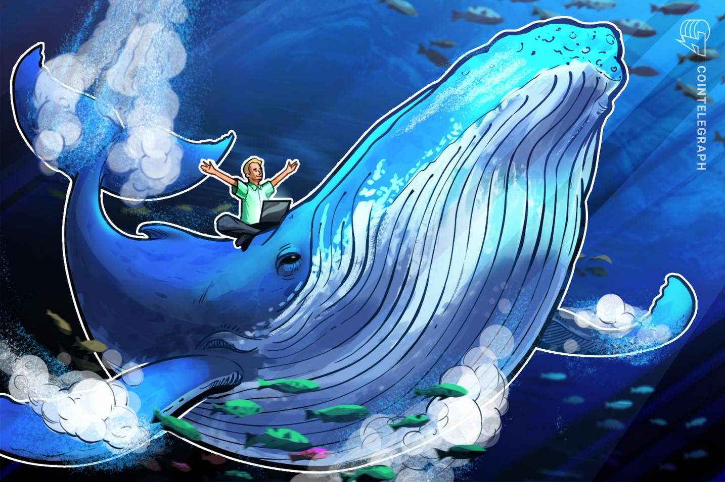 Le whale di Bitcoin raccolgono $1,4 miliardi in 24 ore durante la correzione del mercato