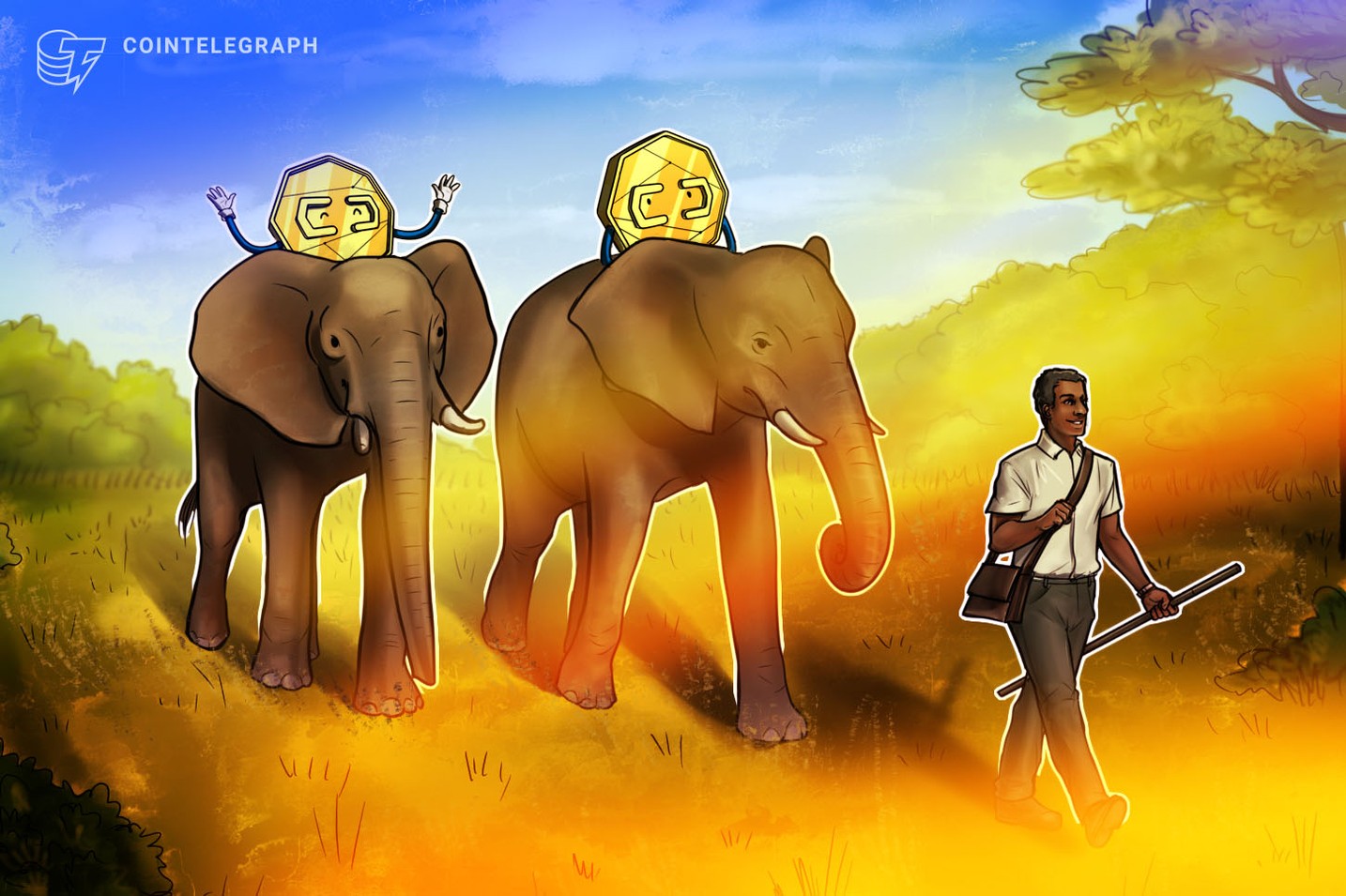 Zimbabwe consults crypto firms on virtual asset regulation needs