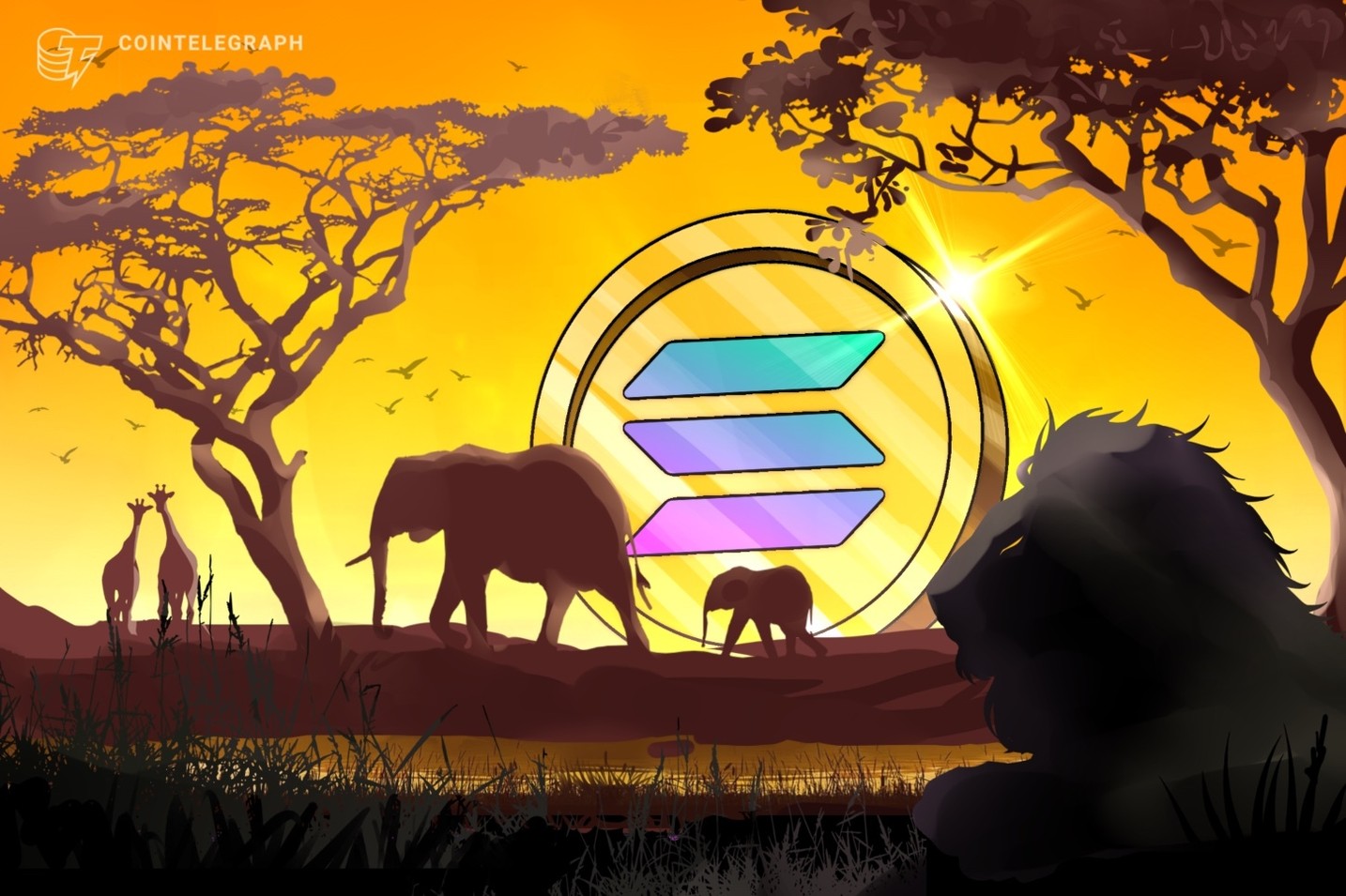 ソラナ、アフリカ仮想通貨市場の成長を促進＝フリンキャップ幹部