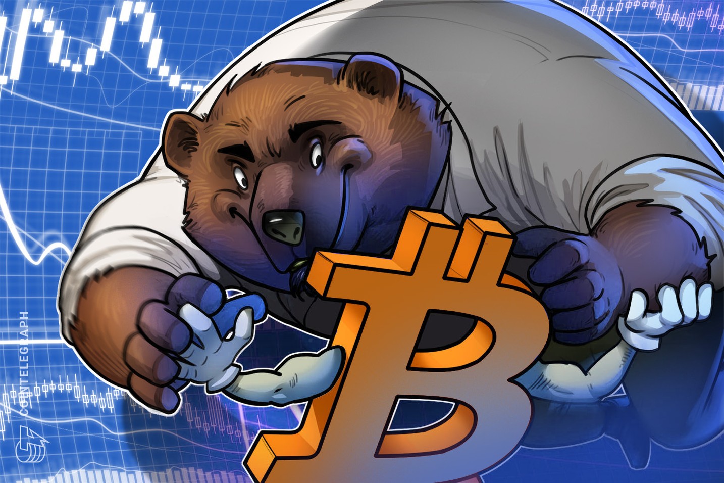 bear%20crypto%20market2