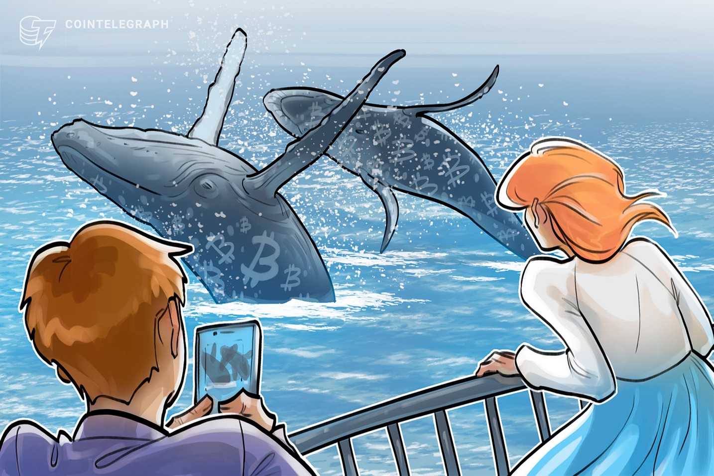 Bitcoin’s bottom slowly erodes as whale wallets increase by 3% 