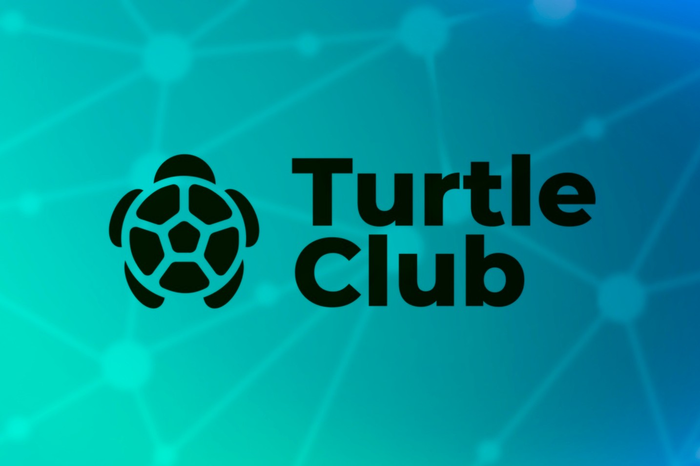 Turtle Club raises $6.2M to advance on-chain liquidity distribution protocol