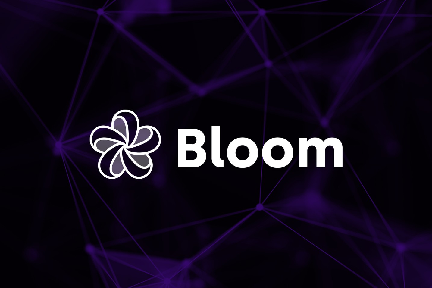 Bloom raises $1.6 million to build the social front-end for onchain finance