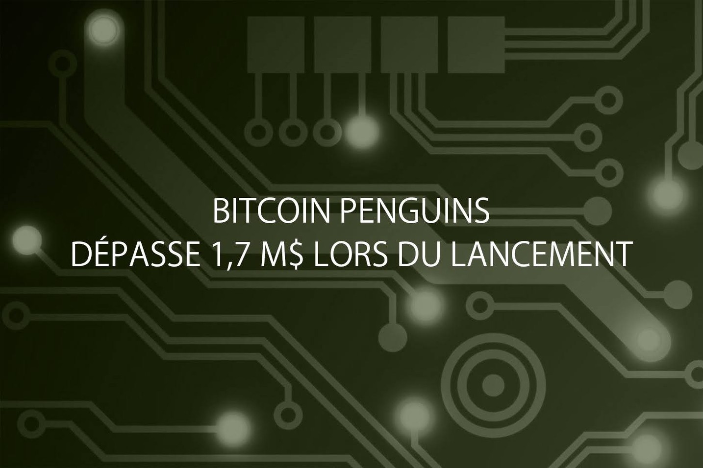 Les Bitcoin Penguins lèvent 1,8 million de dollars lors de leur première semaine de lancement de jeton