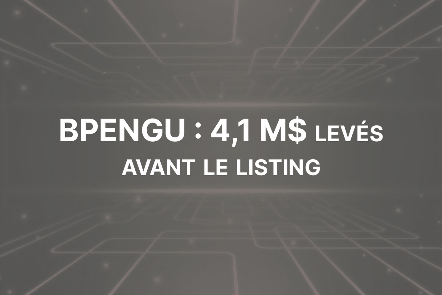 La folie des pingouins démarre avec 4,1 M$ levés avant le listing de BPENGU