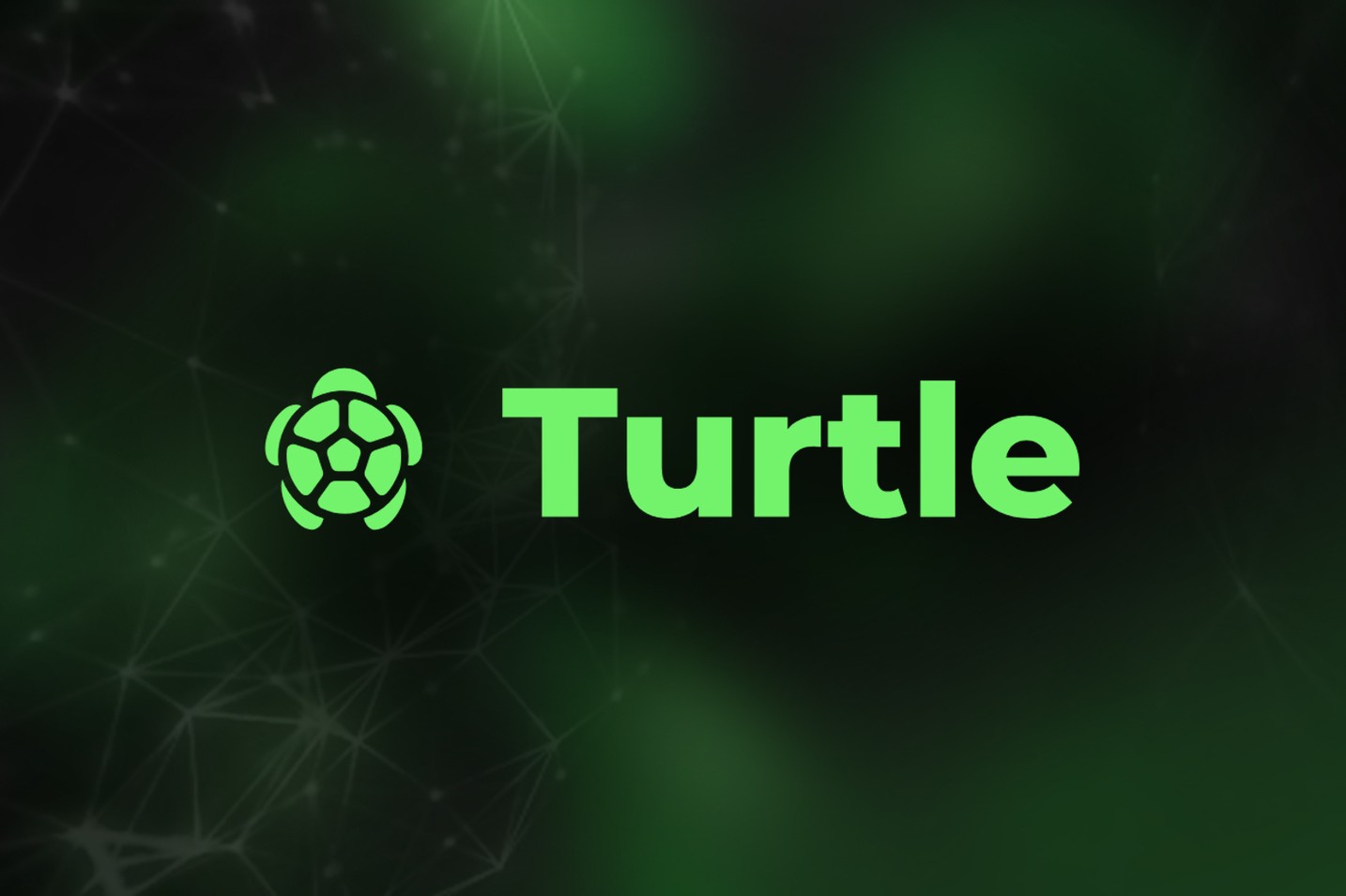 Turtle raises an additional $5.5 million to expand Its Liquidity Distribution Network