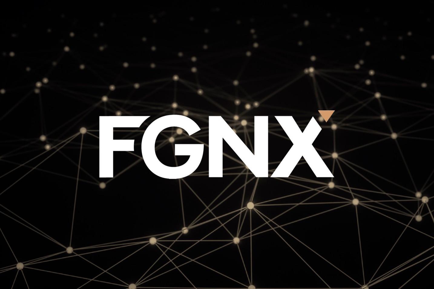 FG Nexus initiates $200 million share buyback program