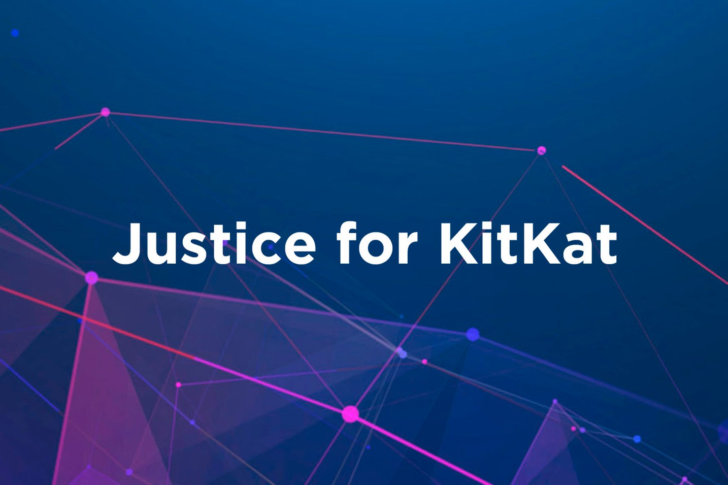 “Justice For KitKat” community announces Solana-based token and remembrance initiative