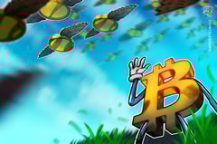 Más allá de Bitcoin: Explorando la diversificación en la evolución del mercado cripto