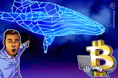 Bitcoin-Wal nach 12 Jahren wieder aktiv: 1.000 BTC kurz vor Fed-Entscheidung verschoben