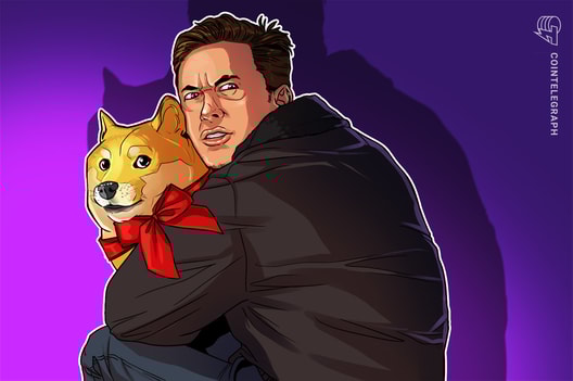 Dogecoin investors blame Elon Musk