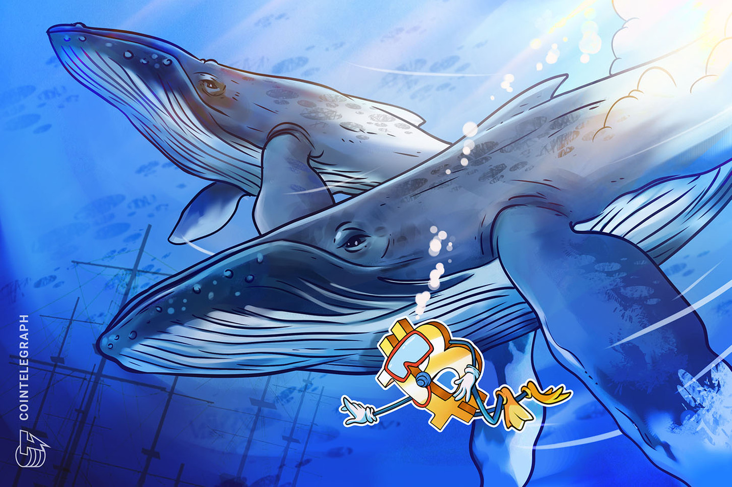 As Bitcoin price staggers, ‘whale’ wallets may be becoming an endangered species 