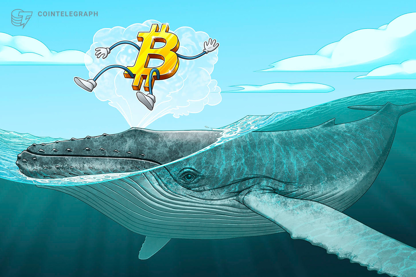 'Millionaire' whales gobble up 90,000 Bitcoin over the past 25 days