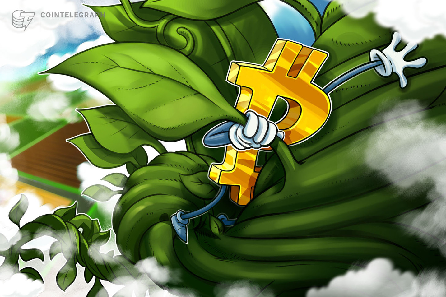Bitcoin-Kurs (BTC) schielt nach Aufschwung auf 32.000 US-Dollar
