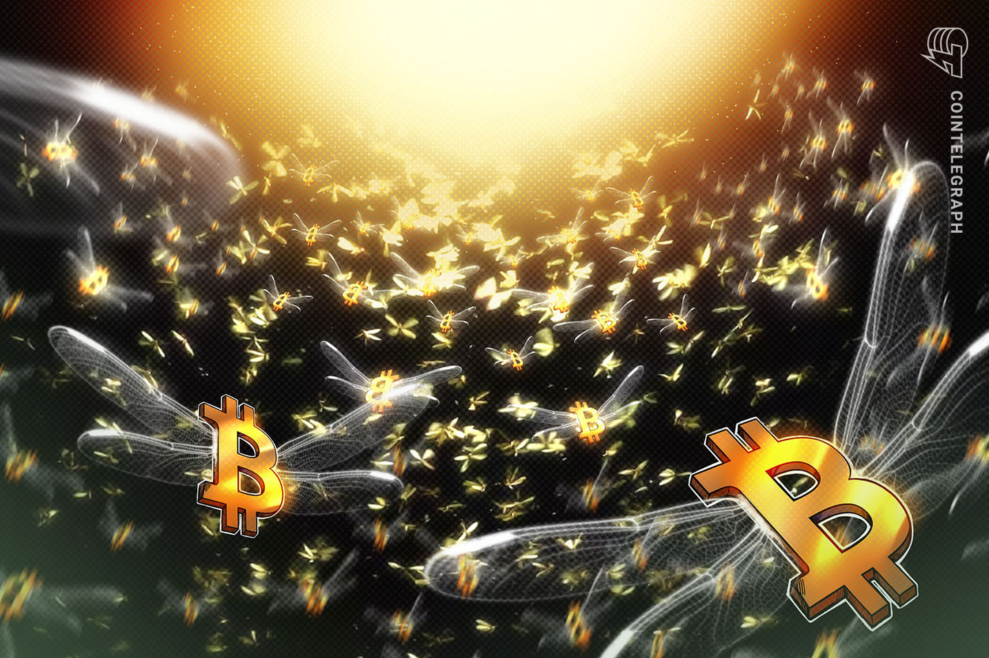 Hyperbitcoinization coming, says Bitcoin OG as ‘wholecoiners’ hit 1M