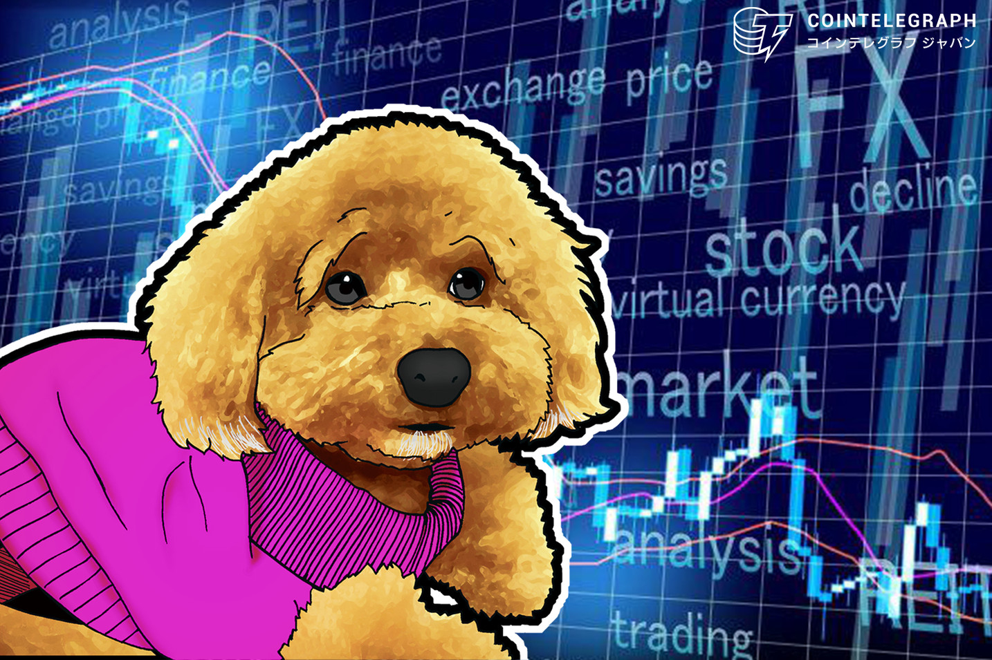 ドル円の動きが分かればビットコインも分かる？仮想通貨トレーダーのトシムリンが解説
