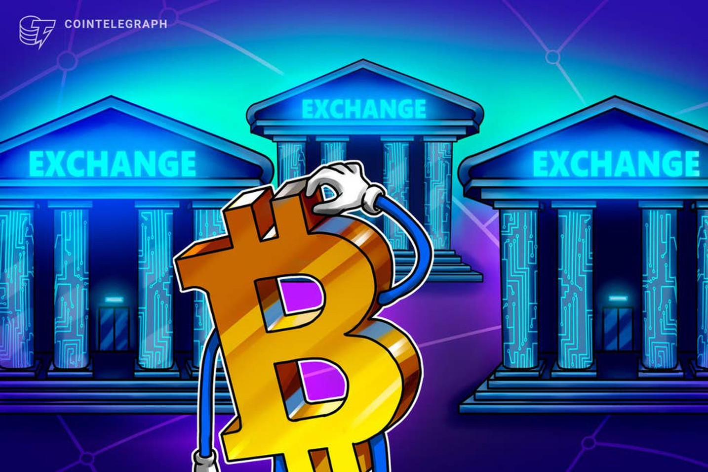 Mexo Echange brinda consejos para elegir plataformas de intercambio de criptomonedas 