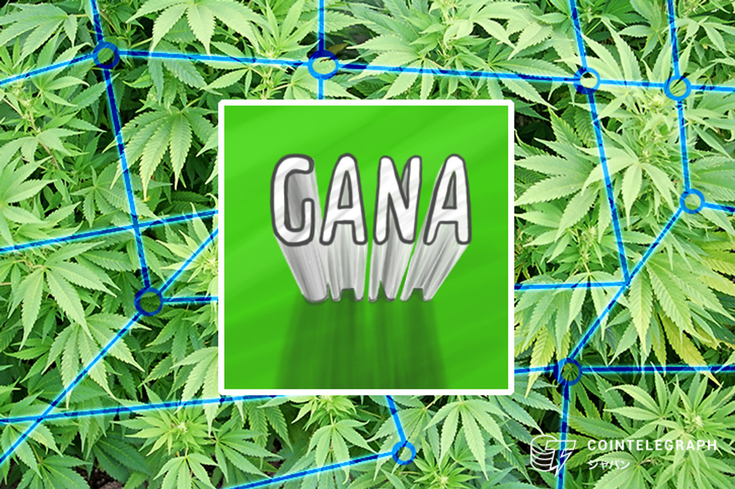 GANAテクノロジー、医療大麻事業でブロックチェーンとＡＩを採用