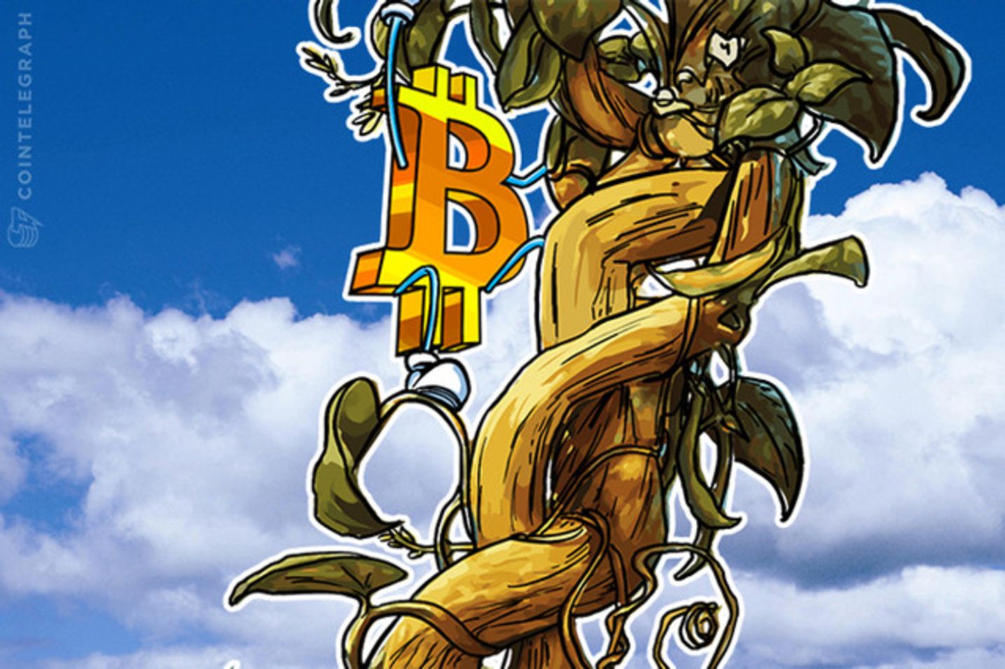Bitcoin en América Latina: Cotizaciones y tendencias en mercados regionales