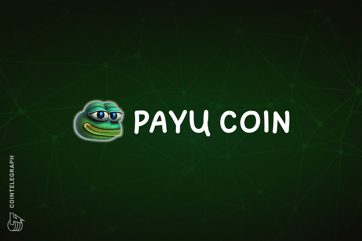 Payu Coin project: Revolutionizing rewards, transfers and daily life usage