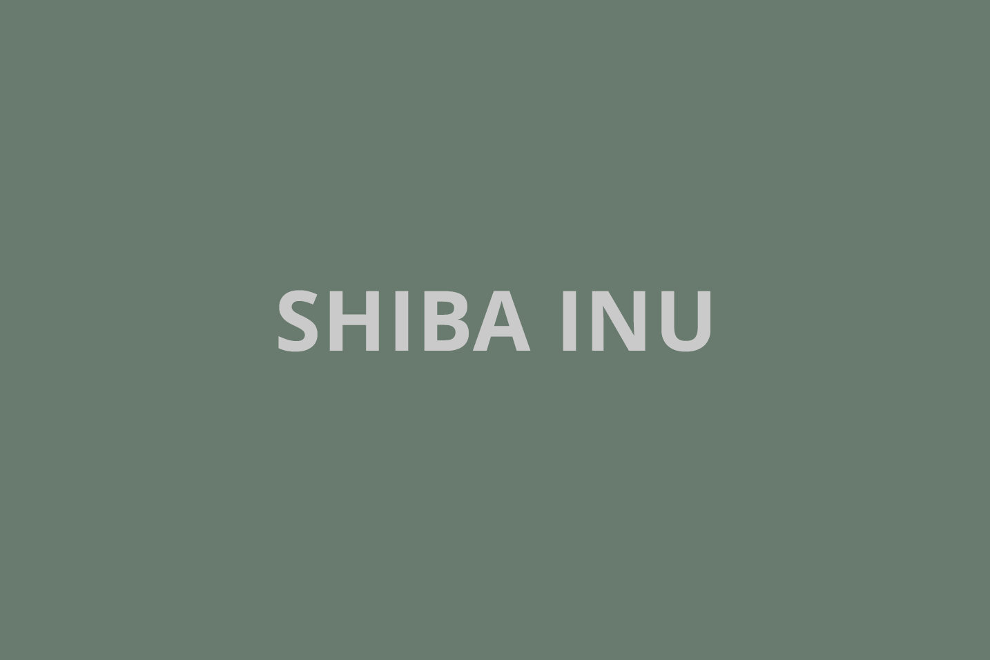 What’s next for Shiba Inu as price continues to slide? Two alternative meme coins to watch