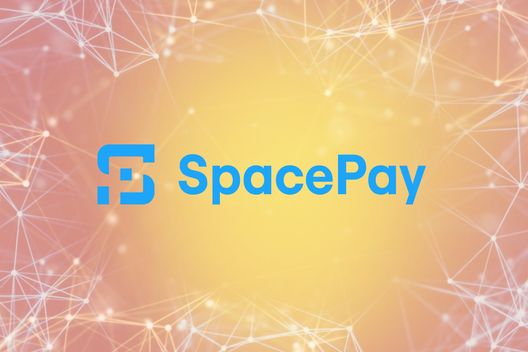 SpacePay versus traditionelle Kartensysteme – Ein disruptiver Krypto-Token für den Einzelhandel