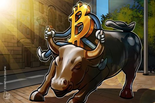 Sardinas necesitan tener calma para lucrar con la euforia de Wall Street sobre Bitcoin, señalan análisis