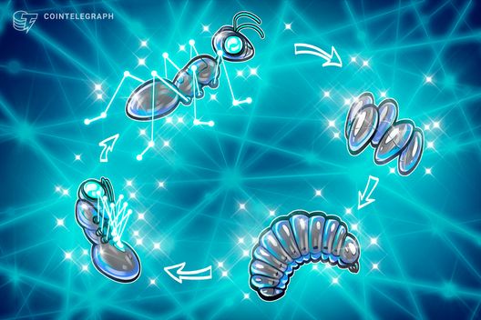 Bitcoin-Zyklus wird „sehr wahrscheinlich“ gültig bleiben – Krypto-Experte