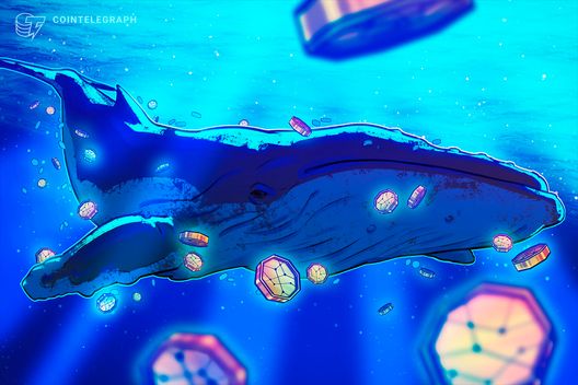 B Bitcoin whale bets on BTC, ETH correction with 0M shorts