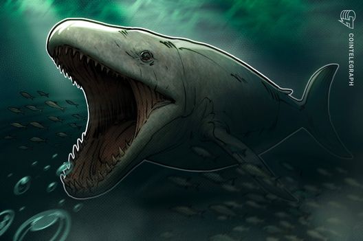 «Невидимый кит»: трейдер оценил ежегодные потери криптовалюты из-за смерти владельцев