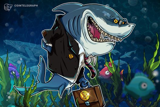 Bitcoin sharks scoop up BTC like it's 2013 despite 'perfect bull trap' - BitRSS | Related Crypto Article