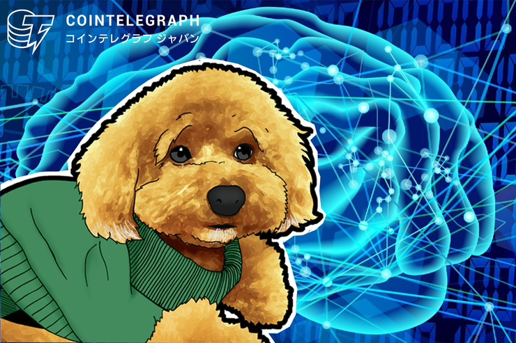 「仮想通貨ビットコイン、6000ドル台までの下落に警戒を」2019年の暴騰暴落を的中させた男が動画で相場実況