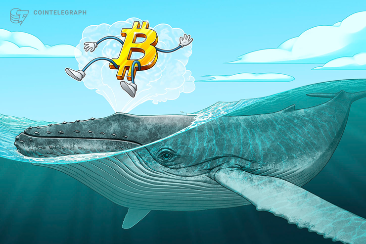ビットコインなど主要通貨伸び悩む、取引ボリューム低下でアナリストは「クジラ」警報【仮想通貨相場】