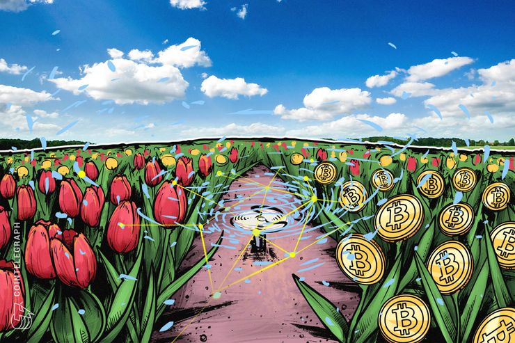 L'Economista Capo del fondo d'investimento Vanguard compara il Bitcoin alla "mania dei tulipani"