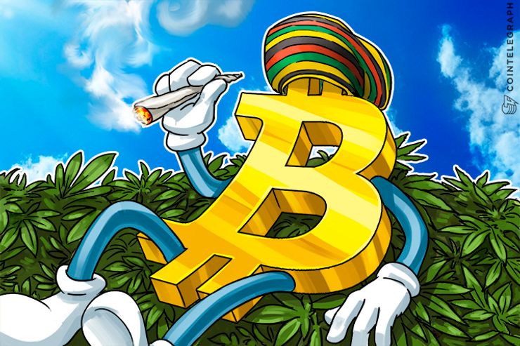 Bitcoin Blockchain Attracts Weed Growers; Register Strain Origins