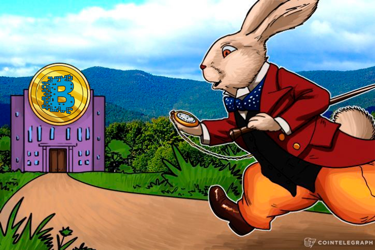 Blockchain.info to Give Users Bitcoin Cash Within 8 Weeks