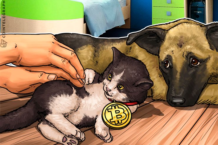 Morgan Stanley CEO Plays Down Bitcoin Joining Bankers Choir