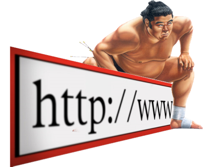 A Glimpse into “Cybersquats”
