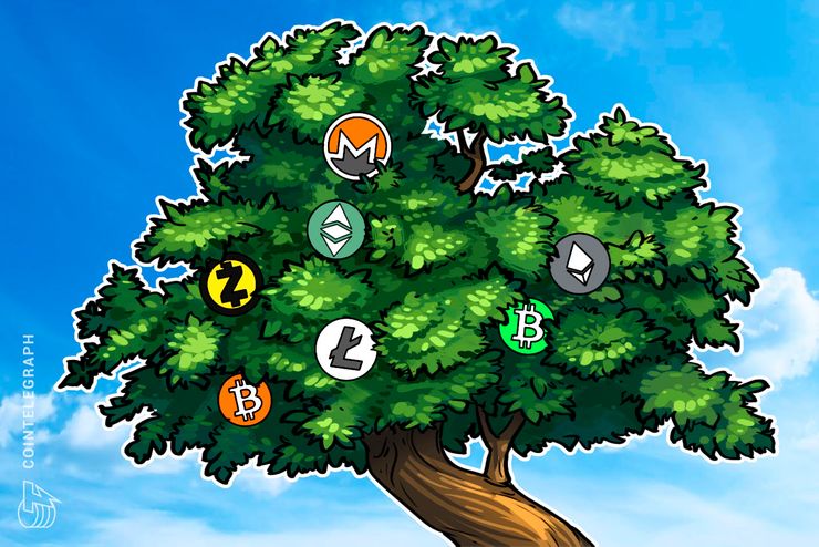تطبيق إنفست الخاص بشركة سيركل المدعومة من غولدمان ساكس يُطلق ميزة جديدة للمبتدئين بالسوق