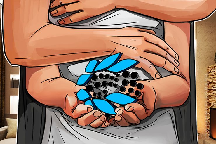 IOTA Blockchain Ajudará a Rastrear as Famílias de Refugiados Durante e Depois dos Conflitos