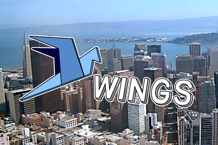 Stremio Selects WINGS DAO Management Platform for the AdEx Crowdfunding Campaign