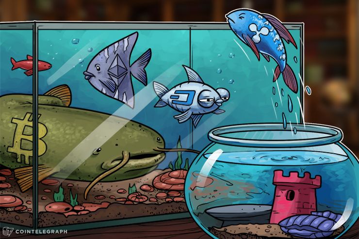 Ripple Price Surge Continues, Altcoin Takes Advantage Of Bitcoin Scaling Troubles