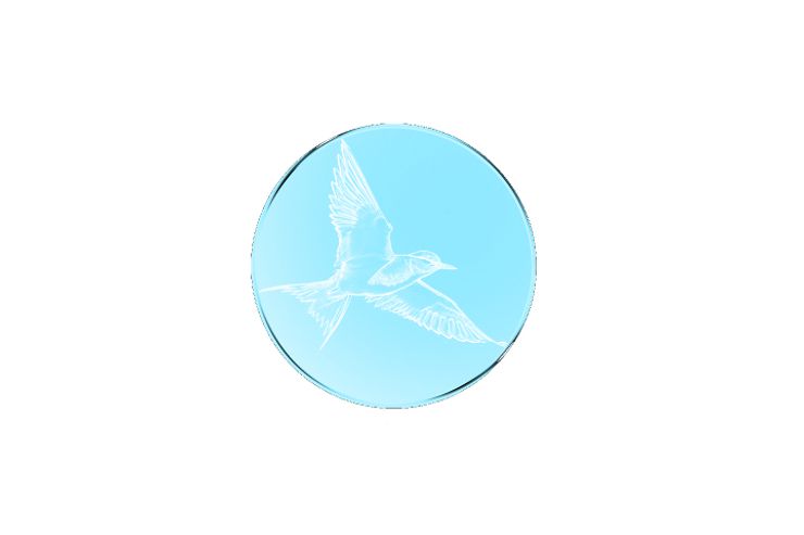 Freicoin